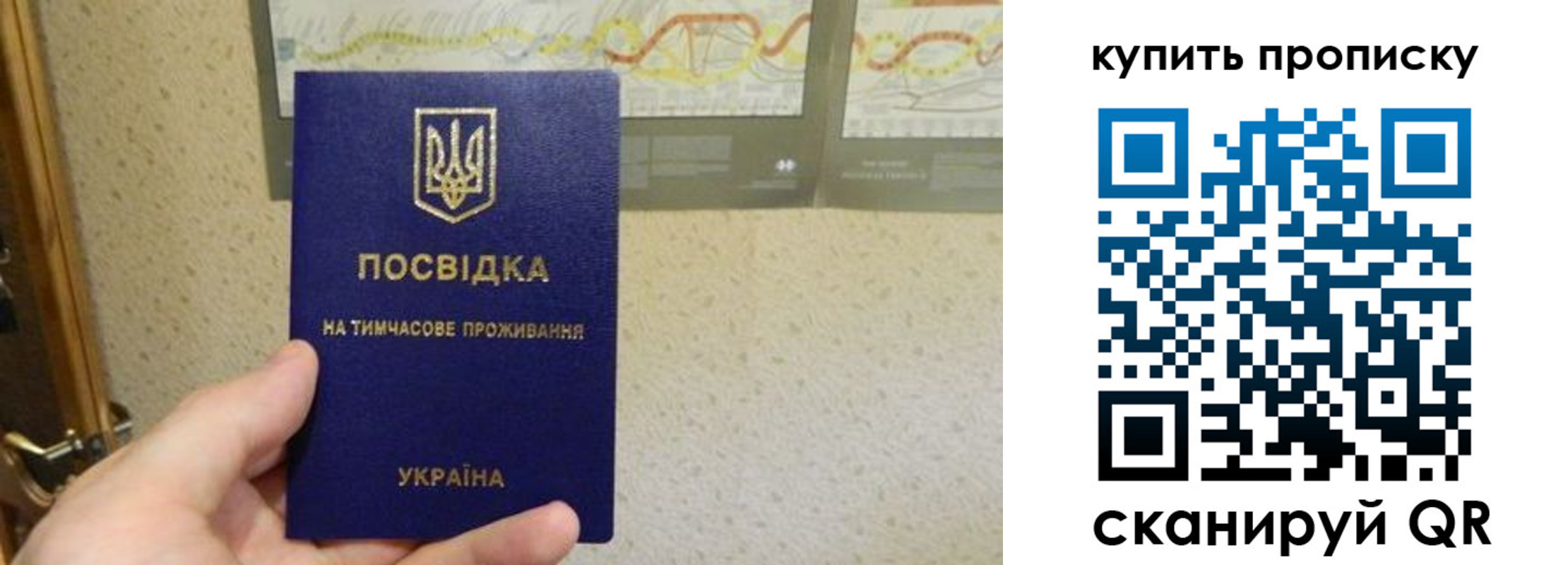 временная регистрация поиск в Амурской области